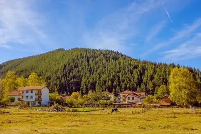 a hill with a house and a horse in a field at Atanasovata Kashta in Govedartsi