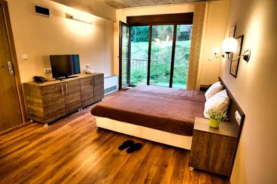 a bedroom with a bed and a television in it at Holiday Home Marta in Dobrevtsi