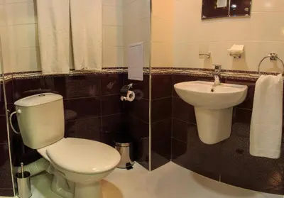 a bathroom with a toilet and a sink at Hotel Nikol in Dolna Banya
