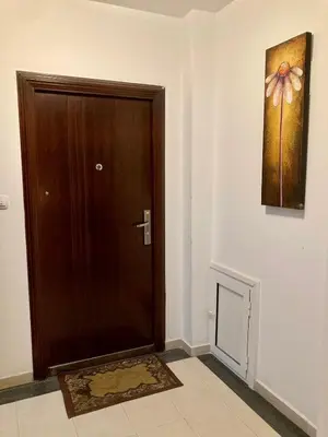 a wooden door in a room with a painting on the wall at Apartments Iva in Sandanski