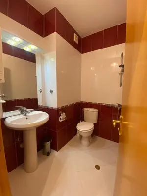 a bathroom with a sink and a toilet and a mirror at hotel TEDI in Asenovgrad