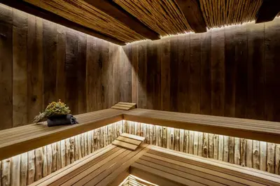a wooden sauna with a potted plant in it at Kashmir Wellness & SPA Hotel Adults Only in Velingrad