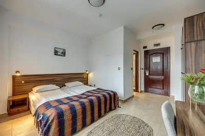 a bedroom with a bed with a wooden head board at Ema Hotel Bansko in Bansko