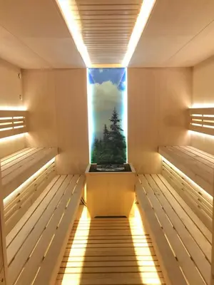 a sauna with a view of a tree at Borovets Hills Ski & Spa - Half Board in Borovets