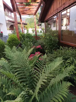 a garden with green plants and flowers next to a building at Guesthouse Dida in Sapareva Banya