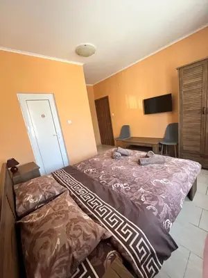 a bedroom with a bed and a desk at Guesthouse Zornitsa in Hisarya
