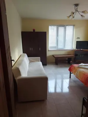 a living room with a couch and a bed at Viktoria House in Sapareva Banya