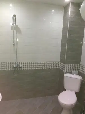 a bathroom with a toilet and a shower at Apartments Hristovi in Sandanski