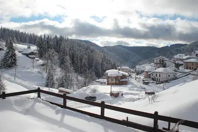 a village covered in snow with trees and buildings at Villa O Sole Mio in Progled