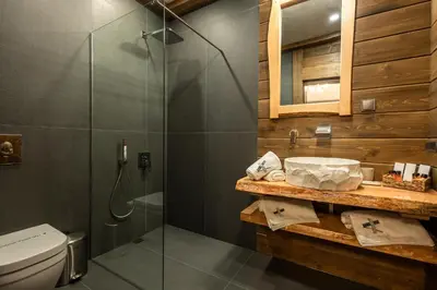 a bathroom with a shower and a sink and a toilet at V Chalet Residence in Velingrad