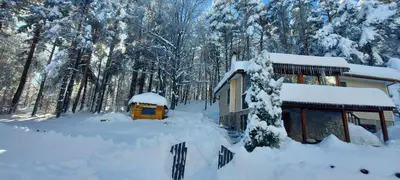 a house covered in snow next to a forest at Villa Vanessa Koprivki Area in Tsar Kaloyan