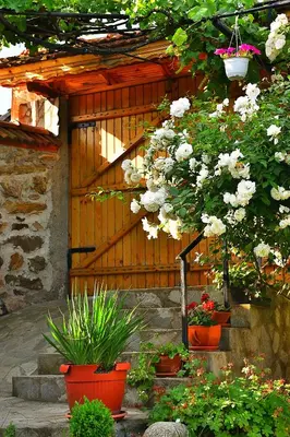 a garden with potted plants in front of a wooden door at Guesthouse Argacho in Stob