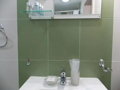 a bathroom with a sink and a green wall at Apart Hotel Rosen in Sofia