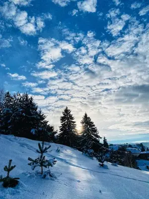a snow covered hill with trees and a cloudy sky at Guest House Lorian in Madzhare