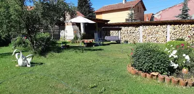a bunny statue in the yard of a house at Family Hotel Ecorelax in Madzhare