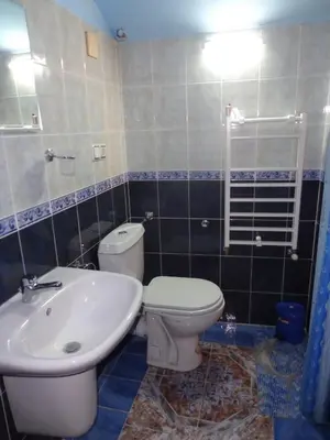 a bathroom with a white toilet and a sink at Family Hotel Ecorelax in Madzhare