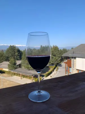 a glass of red wine sitting on a table at Entire Private Apartment in Pirin Golf & Country Club in Bansko