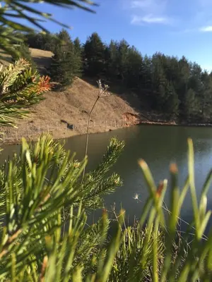 a view of a lake with trees in the background at Park Hotel Eagle Stone in Koprivshtitsa
