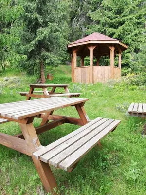 two picnic tables and a gazebo in a field at Complex Pele in Zmeitsa