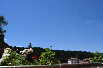 a view from the roof of a house with flowers at Complex Pele in Zmeitsa
