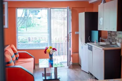 a kitchen with orange walls and a vase of flowers on a table at Danailovi Guest House in Sapareva Banya