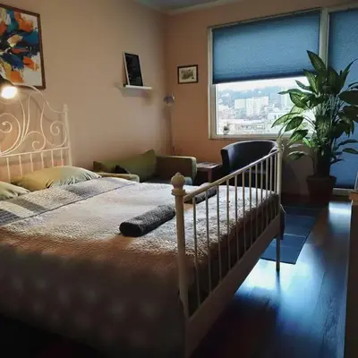 Apartment 132