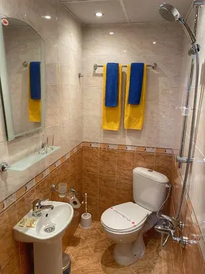 a bathroom with a toilet and a sink and a shower at Guest rooms Colorit in Koprivshtitsa