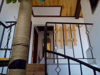 a staircase with a palm tree in front of a building at Deny Holiday home in Dobrinishte