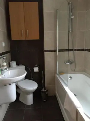 a bathroom with a toilet and a sink and a shower at Chalet Mechka in Borovets