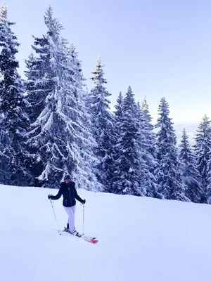 a person on skis in the snow next to trees at Chalet Mechka in Borovets