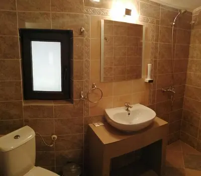 a bathroom with a sink and a toilet and a mirror at Apartments Black Horse in Pamporovo