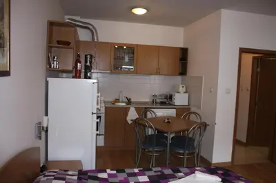 a small kitchen with a table and a refrigerator at Studio Moni in Pamporovo