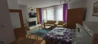 a small living room with a couch and a television at Studio Moni in Pamporovo