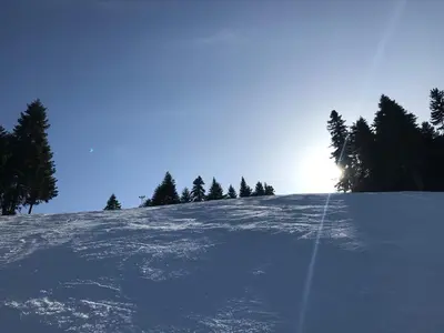 a snow covered hill with trees on top of it at Studio in Hotel Flora Borovets in Borovets