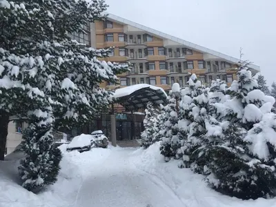 a building with snow covered trees in front of it at Studio in Hotel Flora Borovets in Borovets