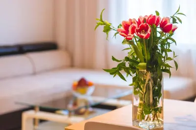 a vase of red flowers sitting on a table at Ibar Apartment & Garage in Plovdiv