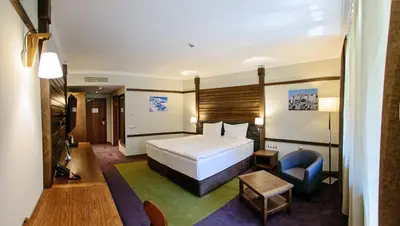 a hotel room with a bed and a chair at Hot Springs Medical and SPA in Banya