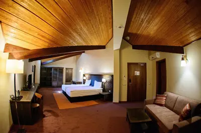 a hotel room with a bed and a couch at Hot Springs Medical and SPA in Banya
