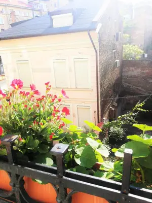 a balcony with flowers and a house at Time Traveling Apartment Sofia City in Sofia