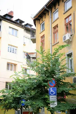a street sign next to a tree in front of a building at Time Traveling Apartment Sofia City in Sofia