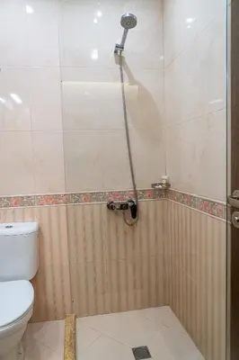 a shower in a bathroom with a toilet at Family Hotel Pak Tam in Karlovo