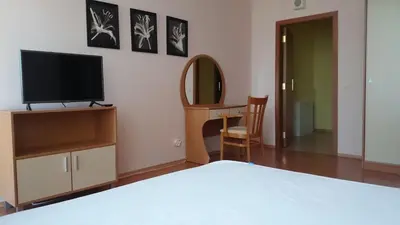 a bedroom with a bed and a tv and a mirror at TES Flora Apartments in Borovets