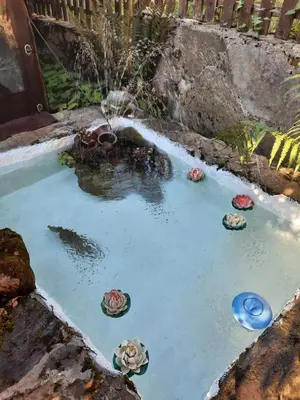 a pond with a fountain in a yard at Guest House Lazar Raykov in Ribarica