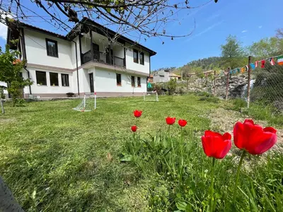 a group of red tulips in the yard of a house at Kassandrova Guest House & Spa in Bratsigovo