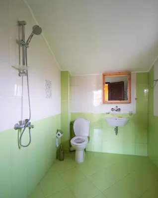a green bathroom with a toilet and a sink at Guest House Villa Bozhenitsa in Bozhenitsa