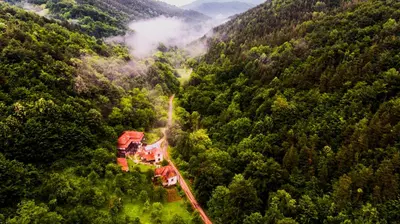 an aerial view of a house in the middle of a forest at Guest House Verbena in Apriltsi