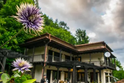 a house with a purple flower in front of it at Guest House Verbena in Apriltsi