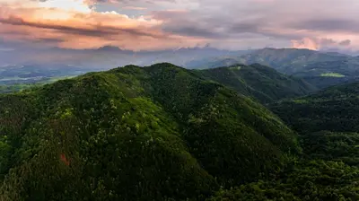 a mountain covered in green trees under a cloudy sky at Guest House Verbena in Apriltsi