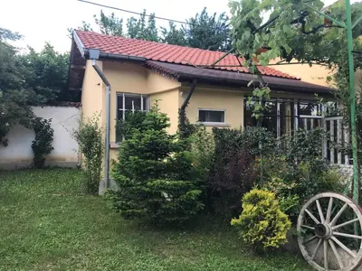 a house with a christmas tree in front of it at Guesthouse Planinsko Gnezdo in Tŭzha