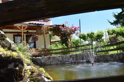 a fountain in a pond in front of a house at Villa Kabasanov in Smolyan